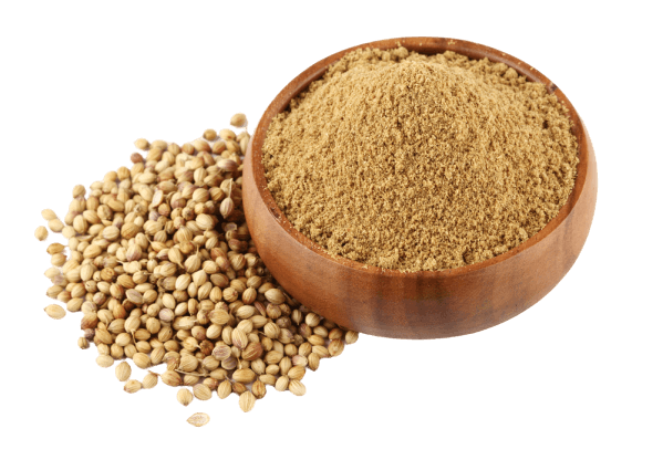 Coriander