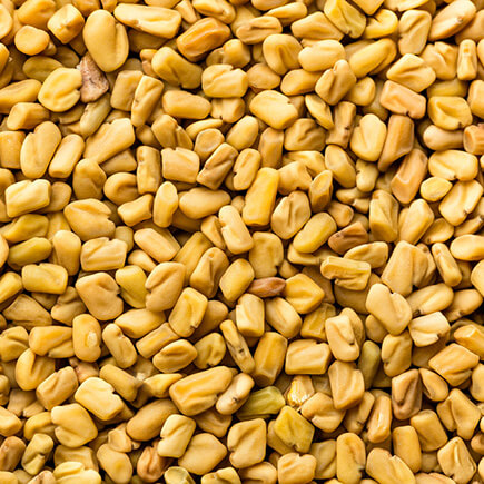 Fenugreek Seeds